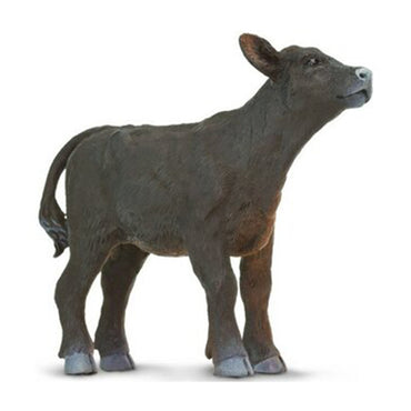 Safari Angus Calf