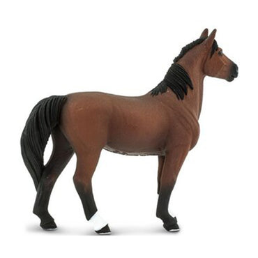 Safari Morgan Stallion Horse