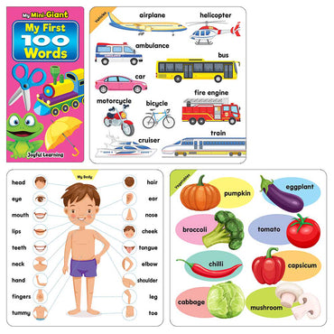 Mind To Mind Mini Giant My First 100 Words