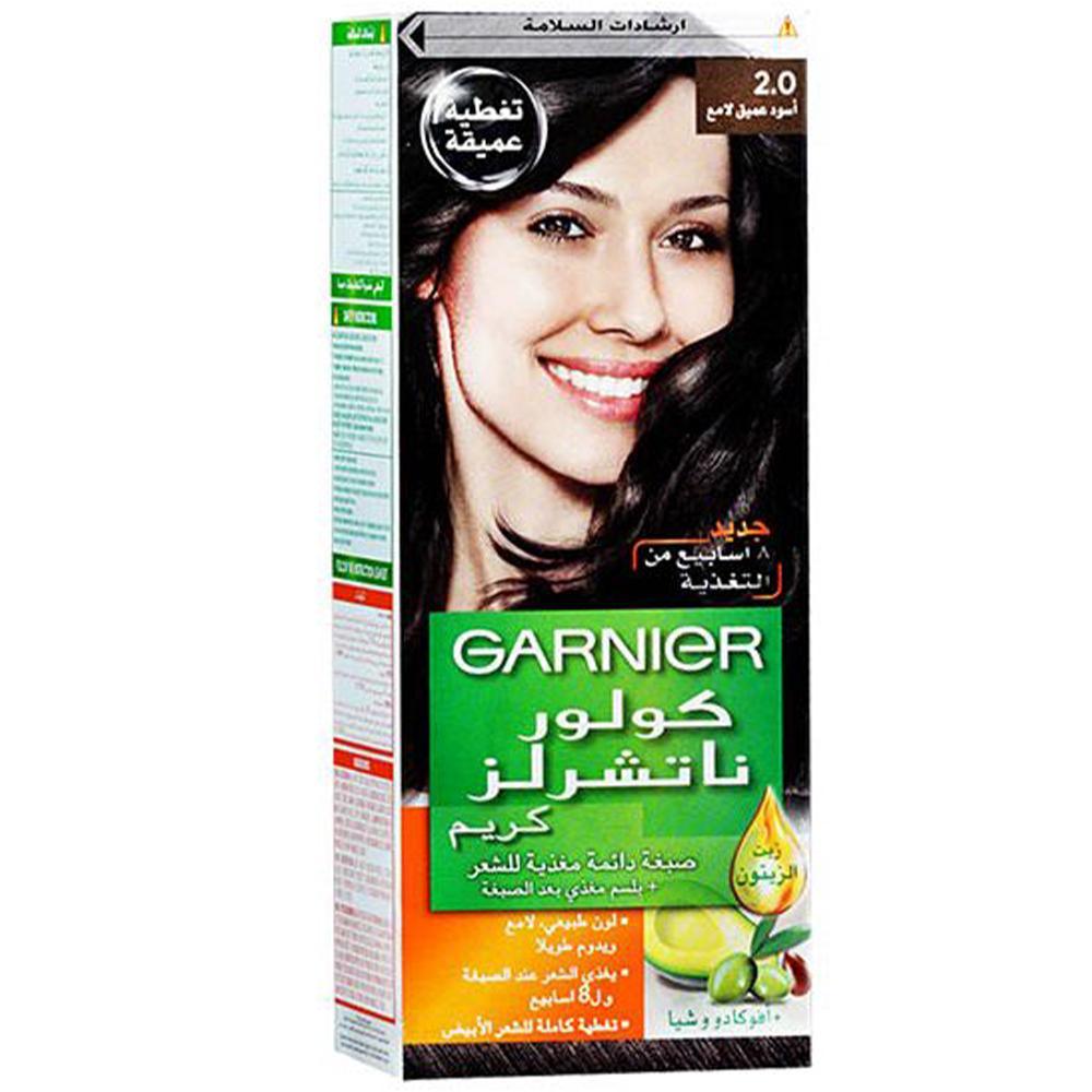 GARNIER Nourishing Permanent Hair Color With Conditioner Deep Luminous Black 2.0.