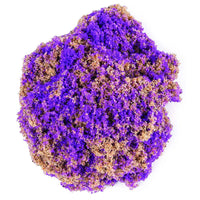 Kinetic Sand Sea Shell Asst - Karout Online -Karout Online Shopping In lebanon - Karout Express Delivery 