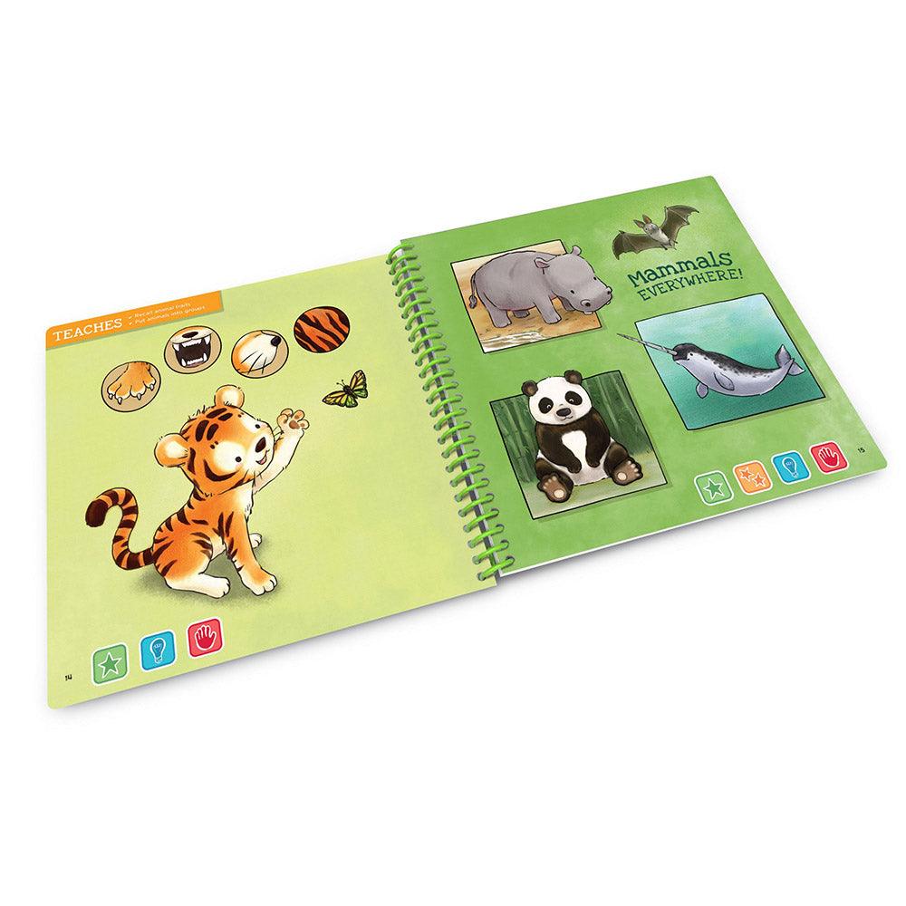 LeapFrog LeapStart Preschool Activity Book - Karout Online -Karout Online Shopping In lebanon - Karout Express Delivery 