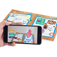 Edu Science Human Anatomy Model Arabic Edition - Karout Online -Karout Online Shopping In lebanon - Karout Express Delivery 