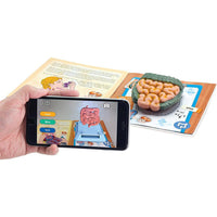 Edu Science Human Anatomy Model Arabic Edition - Karout Online -Karout Online Shopping In lebanon - Karout Express Delivery 