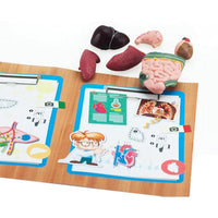 Edu Science Human Anatomy Model Arabic Edition - Karout Online -Karout Online Shopping In lebanon - Karout Express Delivery 