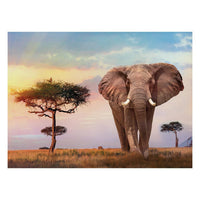 Clementoni African Sunset Puzzle 500 pcs - Karout Online -Karout Online Shopping In lebanon - Karout Express Delivery 