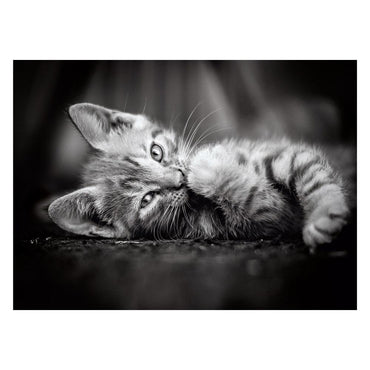 Clementoni Kitty Puzzle 1000 pcs - Karout Online -Karout Online Shopping In lebanon - Karout Express Delivery 