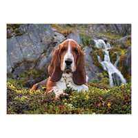 Clementoni Charlie Brown Puzzle 1000 pcs - Karout Online -Karout Online Shopping In lebanon - Karout Express Delivery 