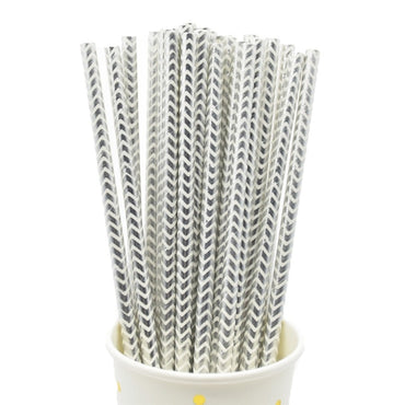 Paper Straws Eco Friendly Straws Silver 100Pcs