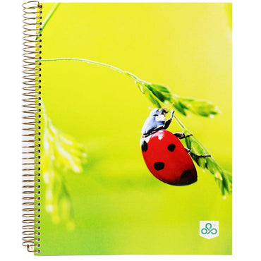 Opp Picture Spiral Notebook  21 x 27.5 cm 192 Sheets 384 Pages - Seyes - Karout Online -Karout Online Shopping In lebanon - Karout Express Delivery 
