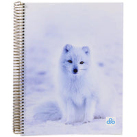 Opp Picture Spiral Notebook  21 x 27.5 cm 192 Sheets 384 Pages - Seyes - Karout Online -Karout Online Shopping In lebanon - Karout Express Delivery 