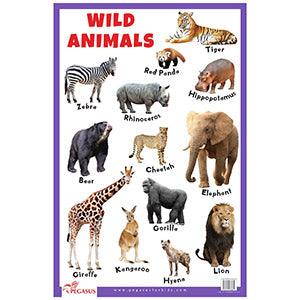 Pegasus  Wild Animals Chart - Karout Online -Karout Online Shopping In lebanon - Karout Express Delivery 
