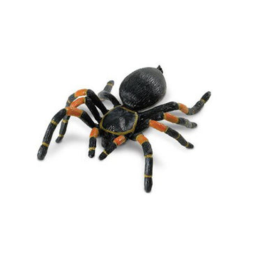 Safari Orange kneed Tarantula - Karout Online -Karout Online Shopping In lebanon - Karout Express Delivery 