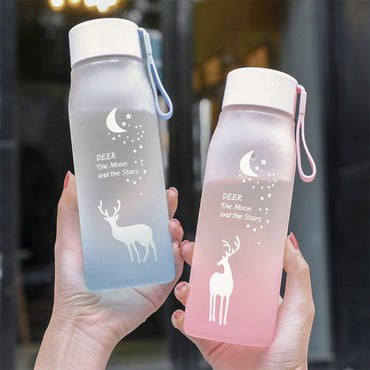 Water Bottle Gradient Plastic Sports Cup Transparent Girl Leakproof Drop-proof Drinking Portable Outdoor Water Bottles 500ml / 6952446454517