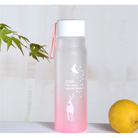 Water Bottle Gradient Plastic Sports Cup Transparent Girl Leakproof Drop-proof Drinking Portable Outdoor Water Bottles 500ml / 6952446454517