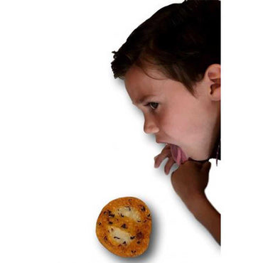 Jaru Jokes & Gags Fake Vomit - Karout Online -Karout Online Shopping In lebanon - Karout Express Delivery 