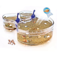 Clementoni The Triops -  French