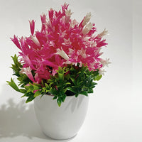 **(NET)**Artificial Plants Bonsai Small Tree Pot Plant Flowers Table Decoration Decor / 22FK175