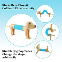 Spring Dog Sensory Fidget Toy Pop Flexible Stretch Tubes Dog Stress Relief Toy 2 pcs