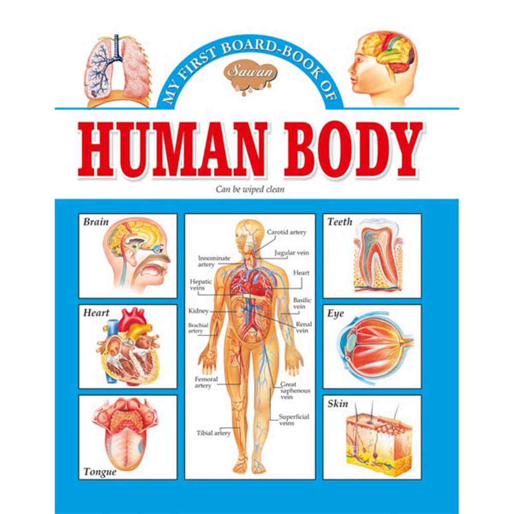 Sawan My First Board-Book Of Human Body