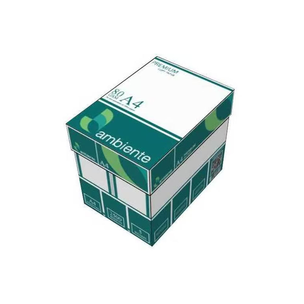 Ambiente Copy Paper 5-Ream/Box  2500 Sheets Paper A4 Size-80gsm