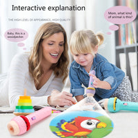 Children’s Projection Toy Torch Toy with Rotate Slide Preschool Funny Gift / 22FK217